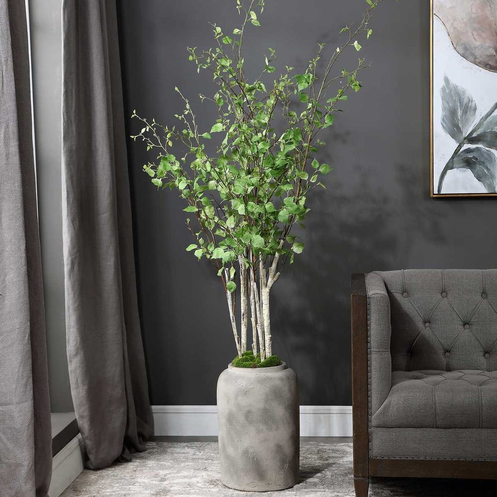 Aldis Potted River Birch - Image 2