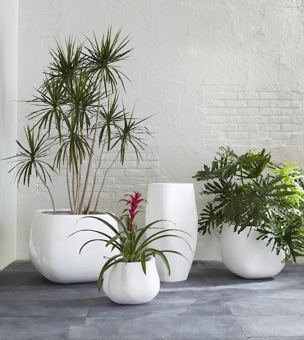 Amorphous Planter, Small, White - Image 3