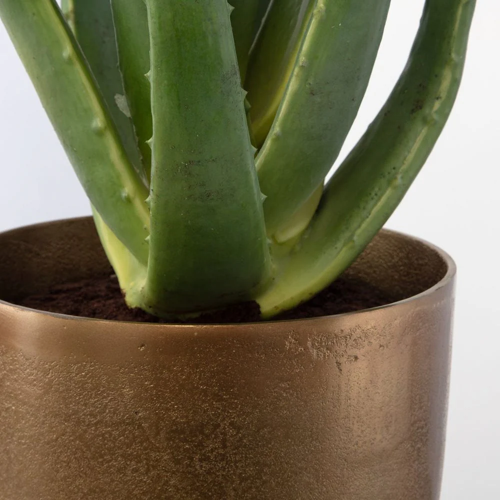 Arabia Aloe Planter, 2 CARTONS - Image 4