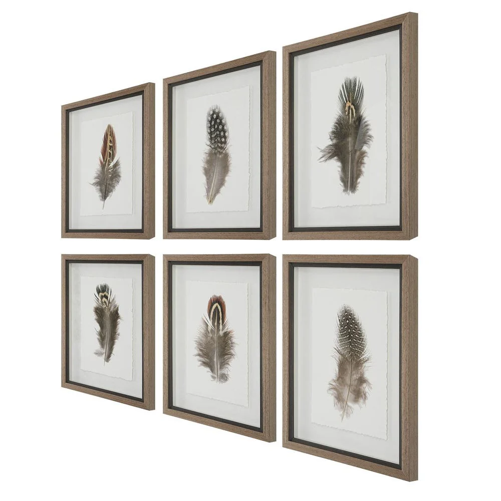 Birds of a Feather Framed Prints, S/6 - Image 5