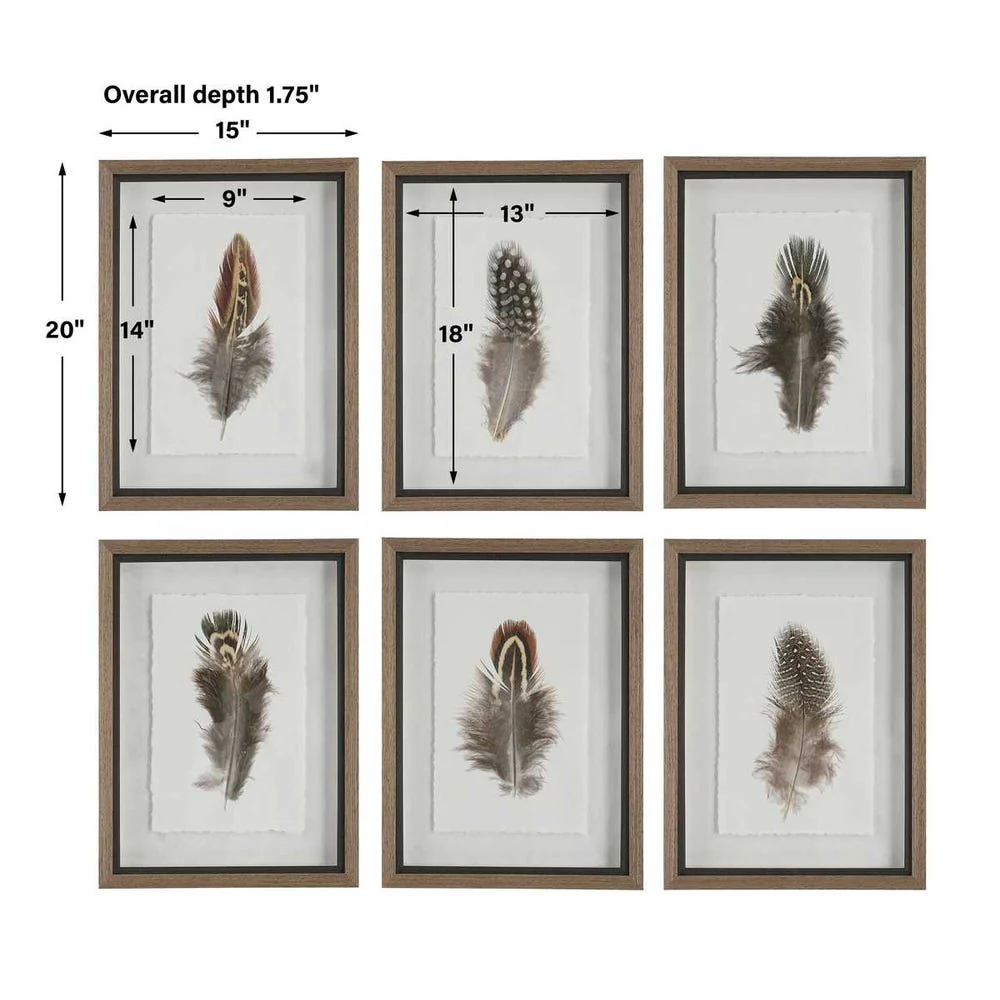 Birds of a Feather Framed Prints, S/6 - Image 9
