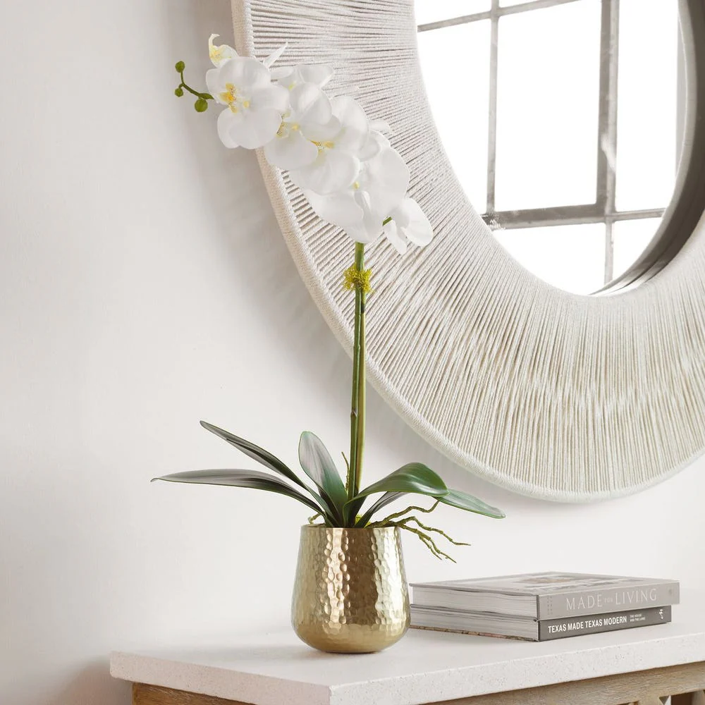 Cami Orchid - Image 3