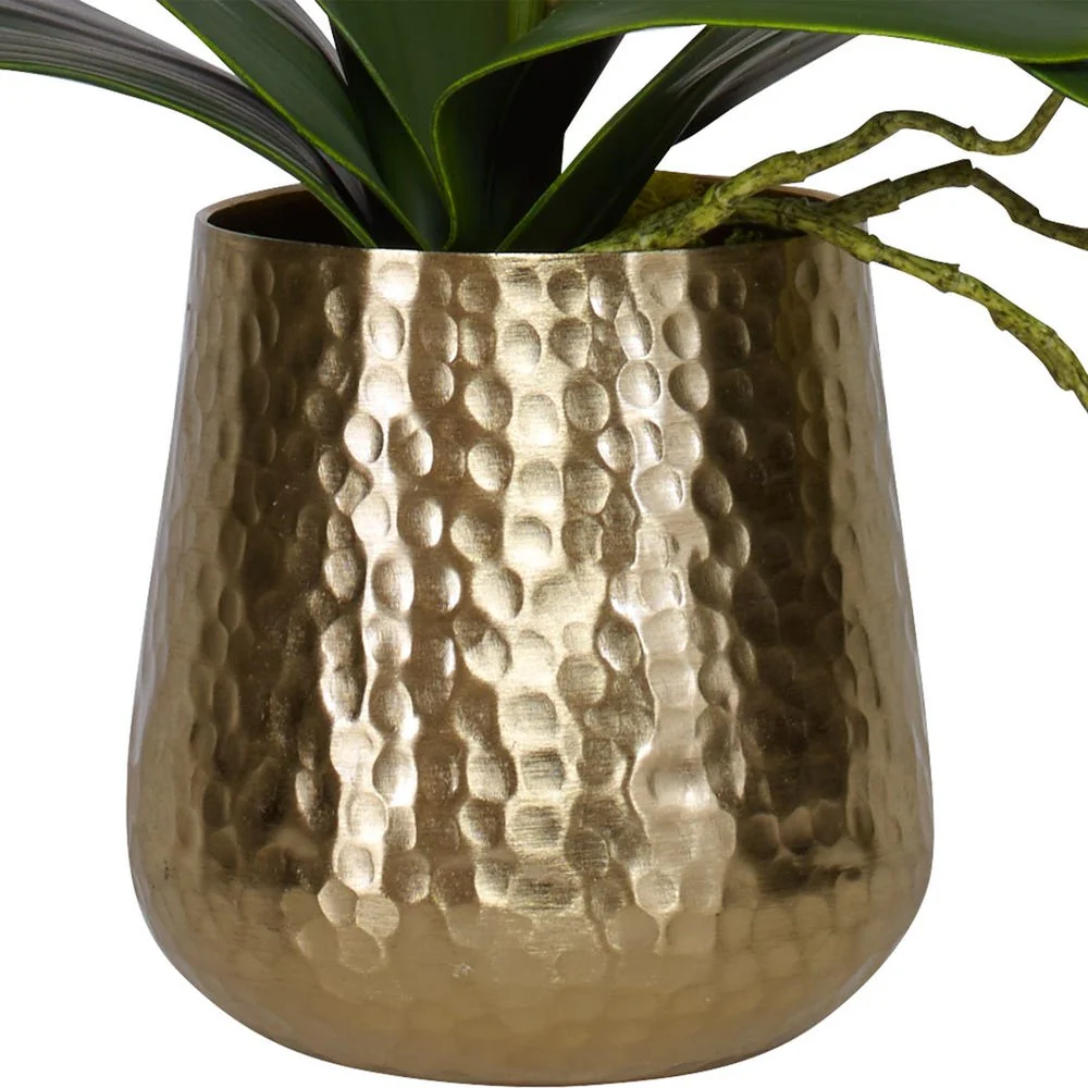 Cami Orchid - Image 5