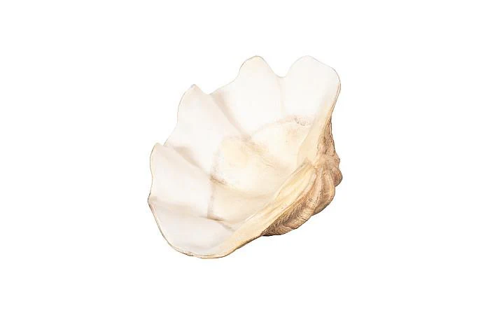 Cast Clam Shell Bowl, Faux Finish, SM - Image 3