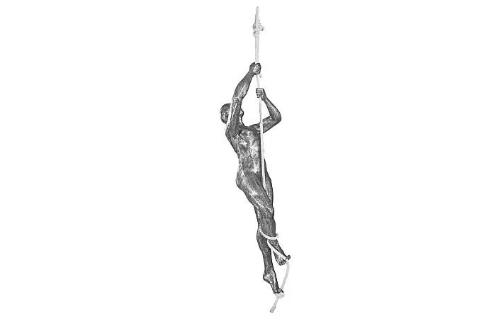 Climbing Sculpture w/Rope, Black/Silver, Aluminum - Image 4
