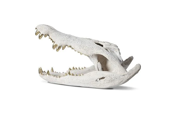Crocodile Skull, Roman Stone, Gold Leaf - Image 2