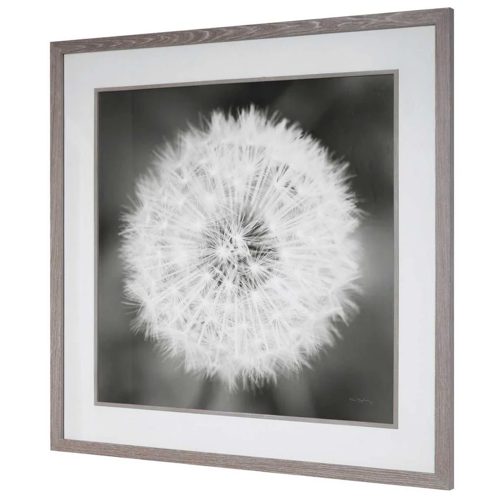 Dandelion Seedhead Framed Print - Image 5