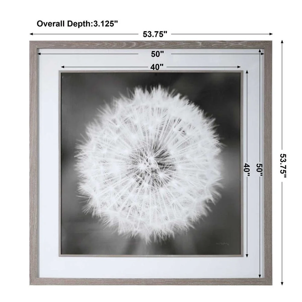 Dandelion Seedhead Framed Print - Image 9