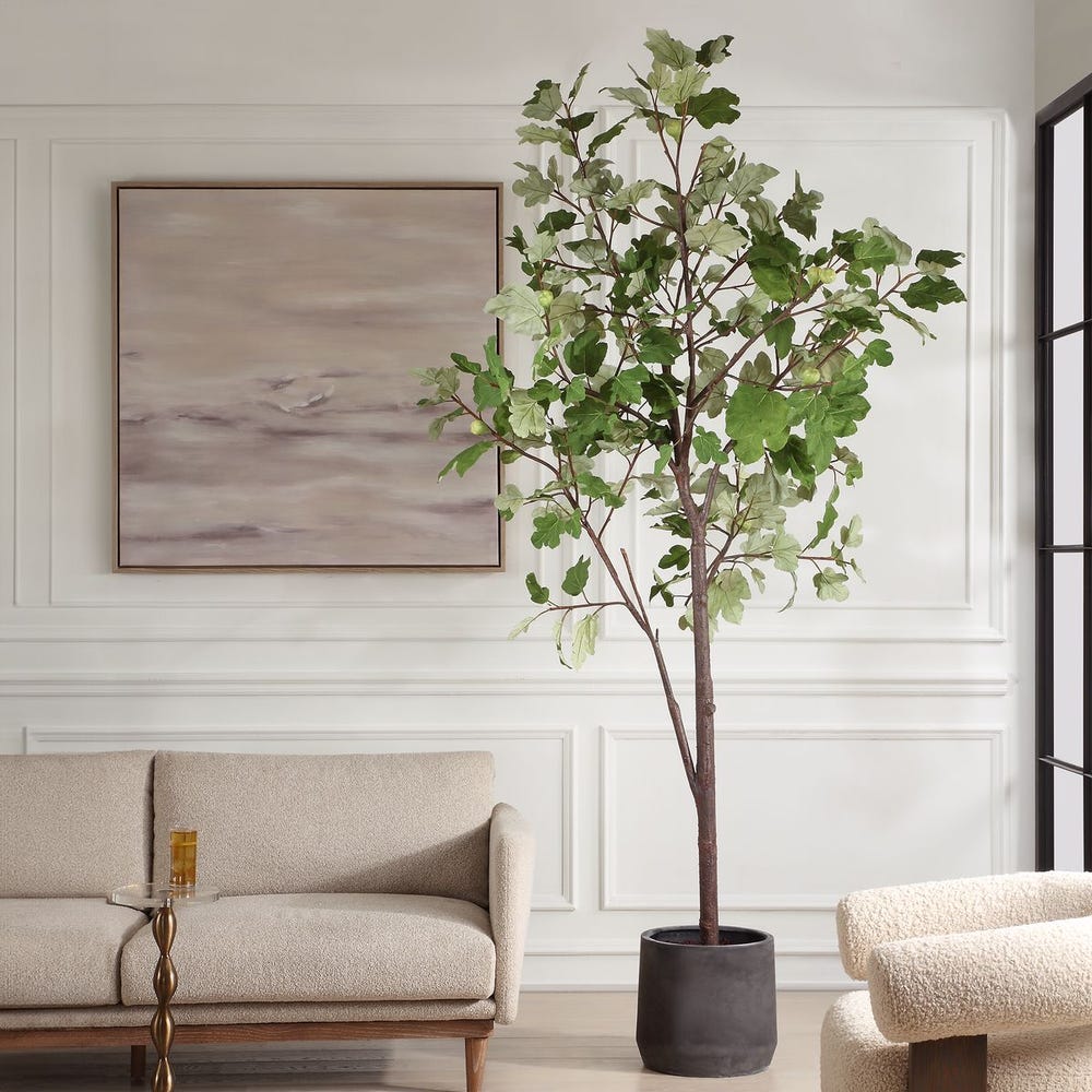 Eden Potted Fig Tree - Image 2