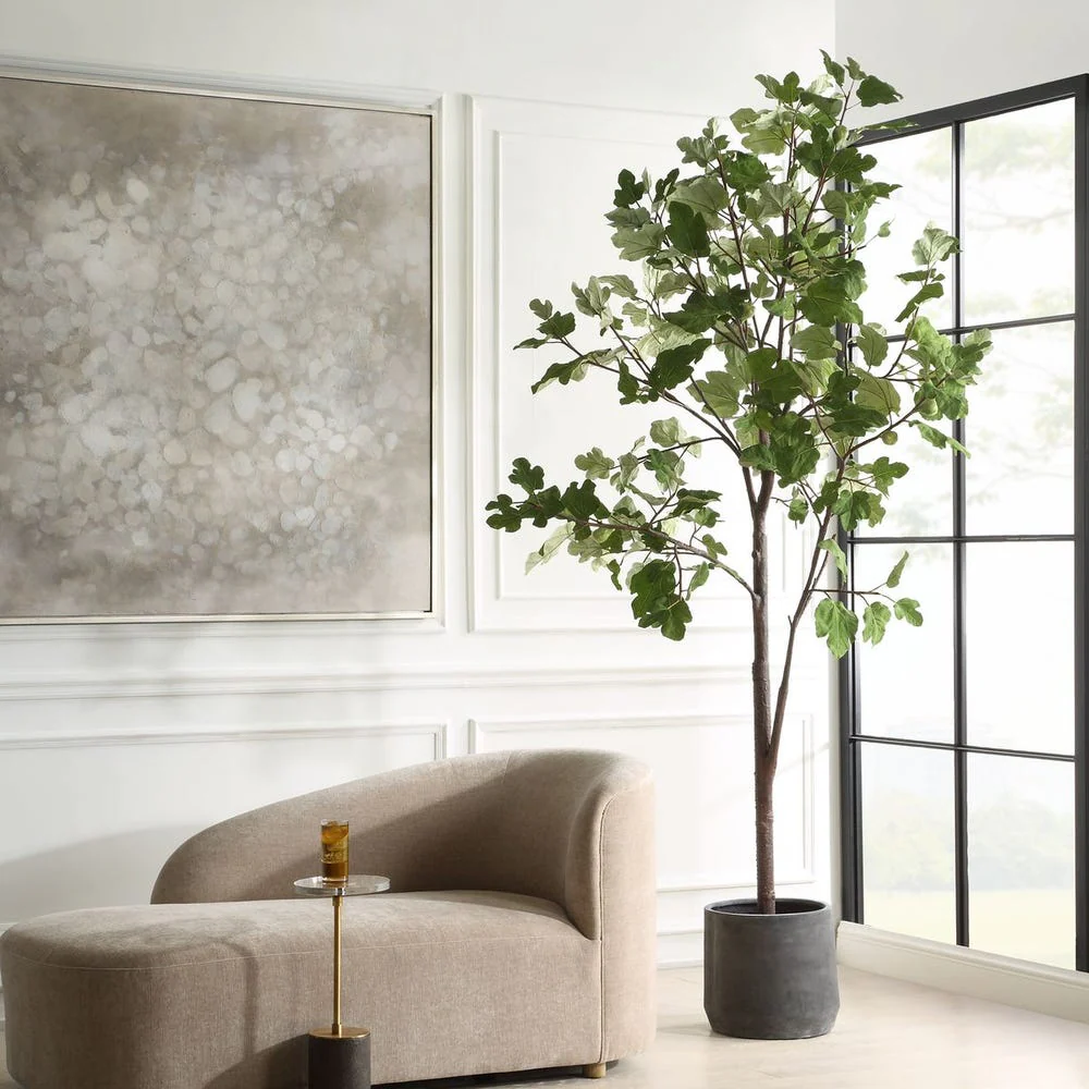 Eden Potted Fig Tree - Image 3