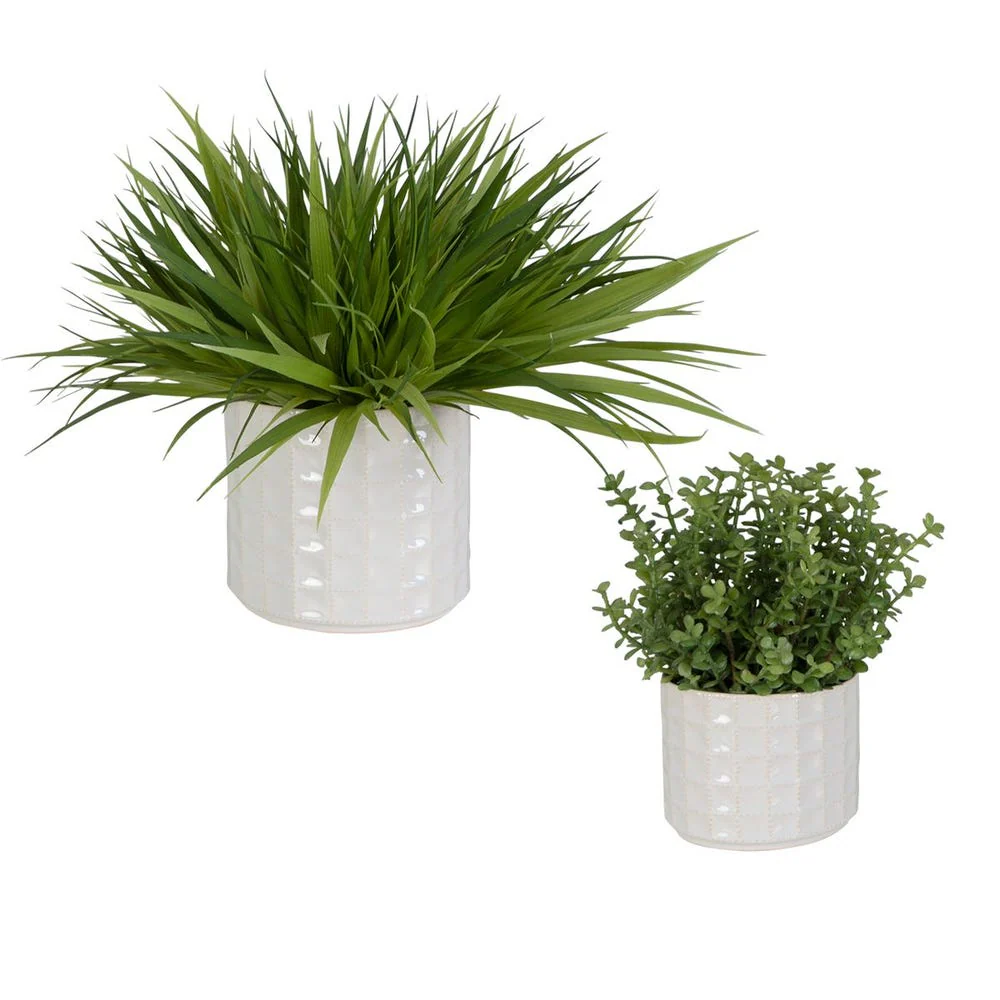 Edgewood Greenery, S/2 - Image 3