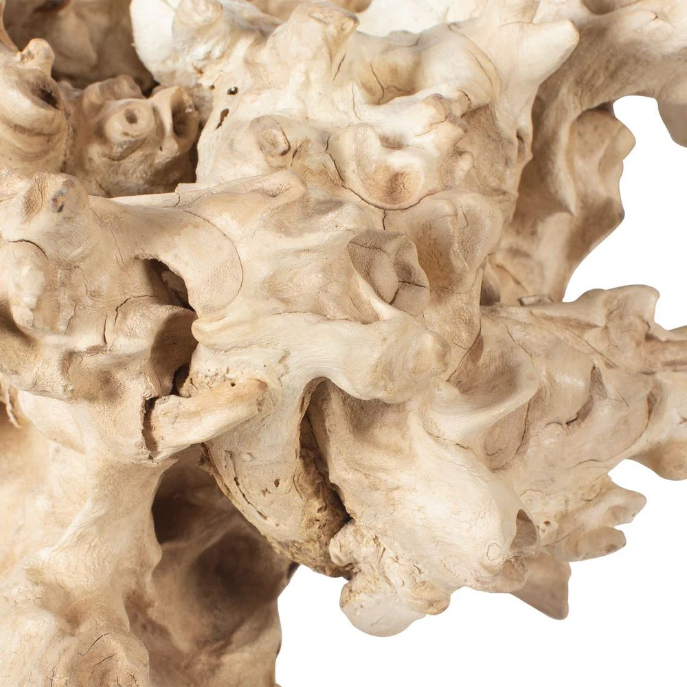 Elemental Root Outdoor Sculptures, S/2 - Image 6