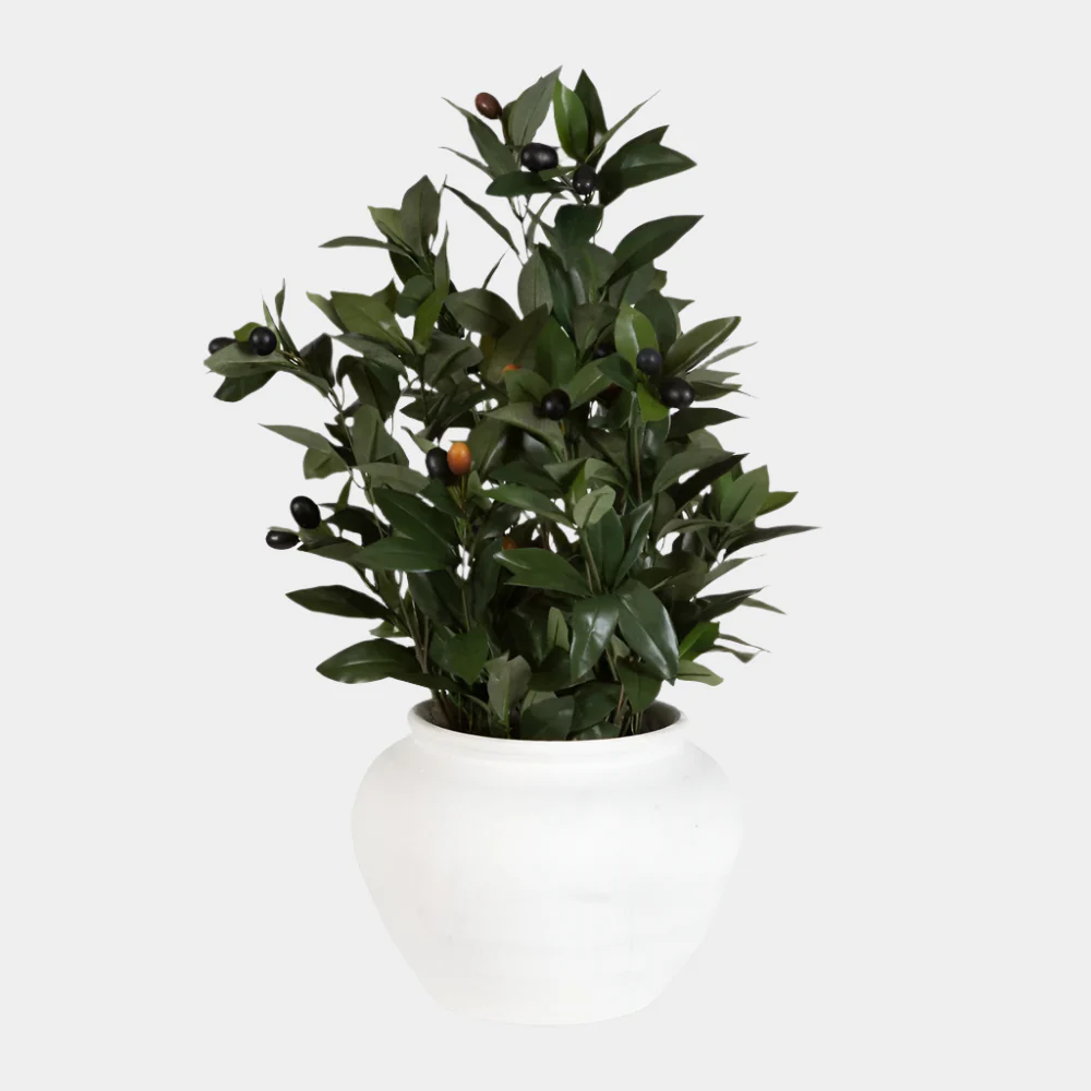 Elena Olive Centerpiece