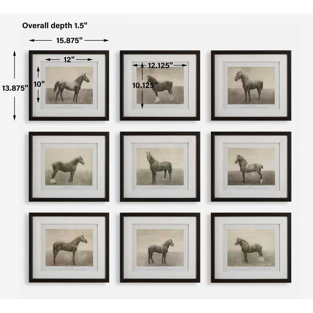 Equine Dynasty Framed Prints, S/9 - Image 7