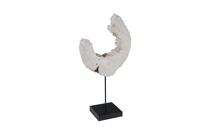Eroded Wood C Sculpture on Stand ,Assorted - Image 2
