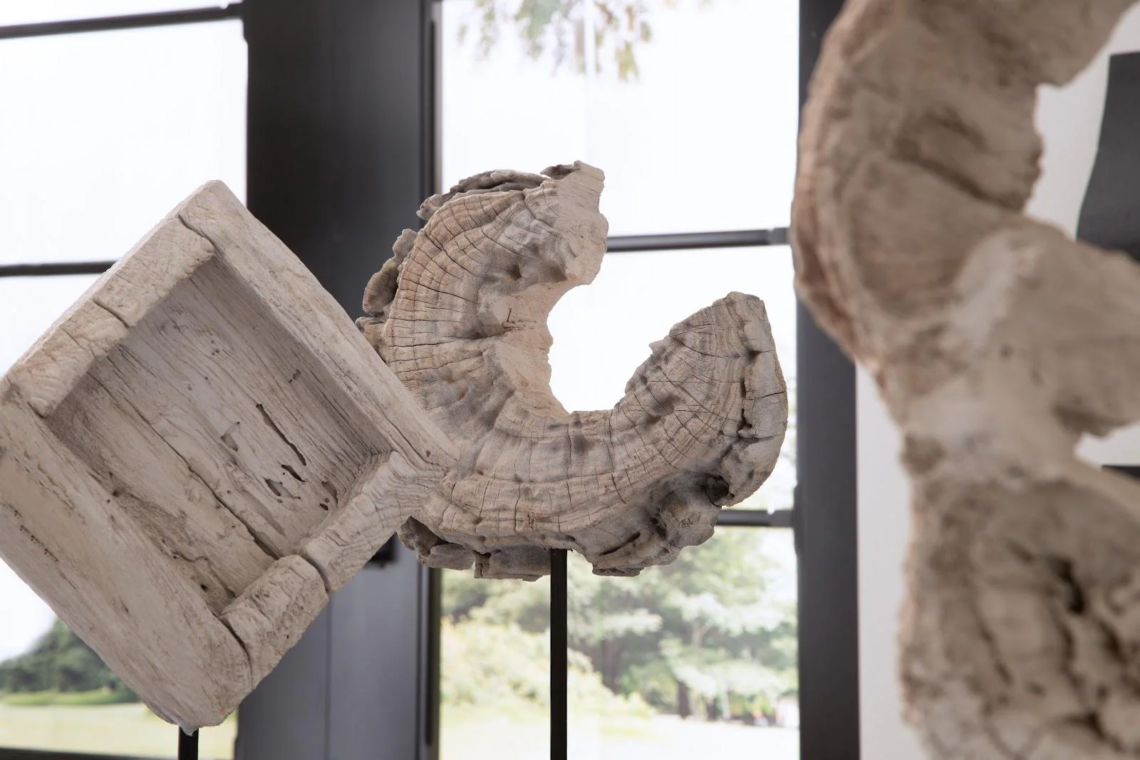 Eroded Wood C Sculpture on Stand ,Assorted - Image 6