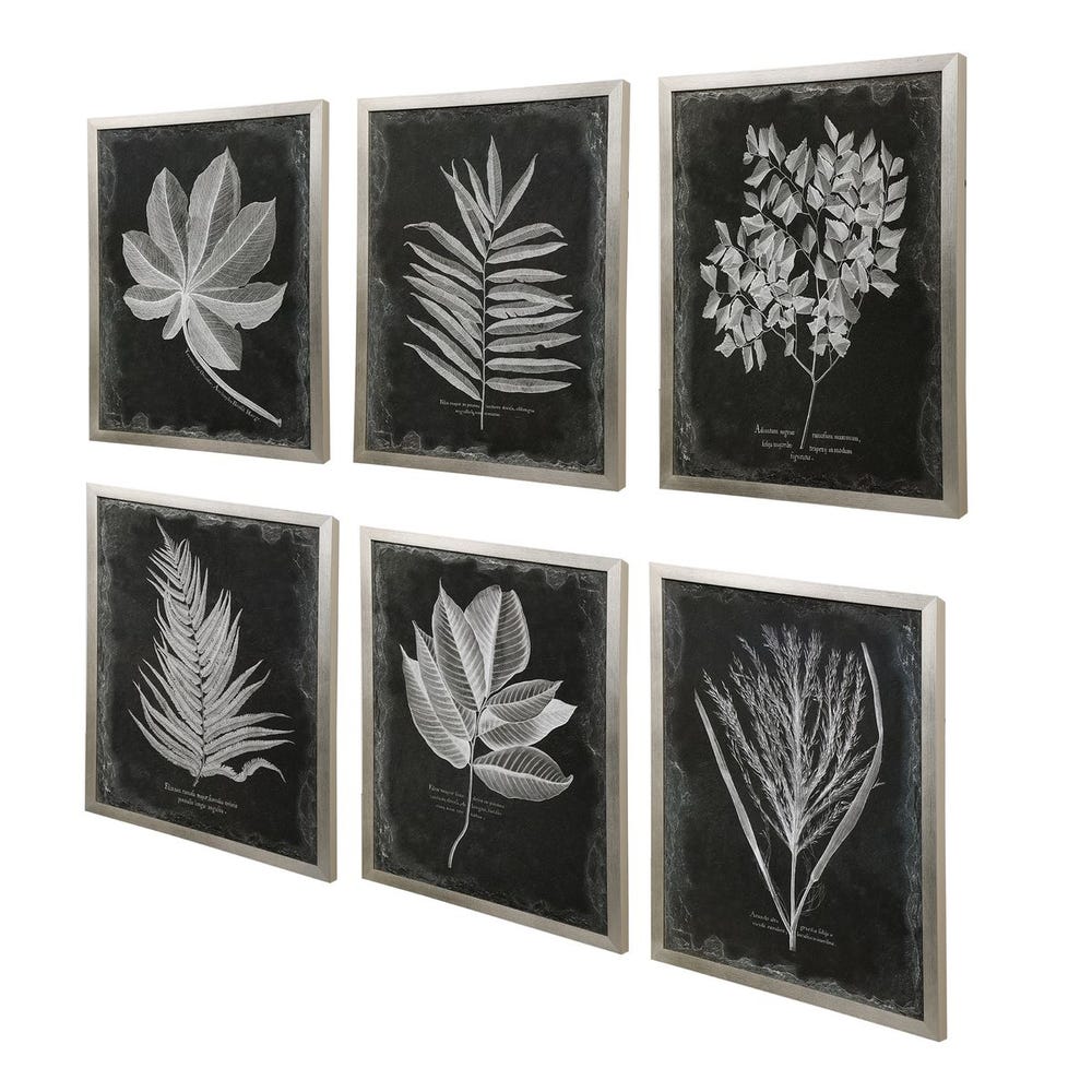 Foliage Framed Prints, S/6 - Image 3