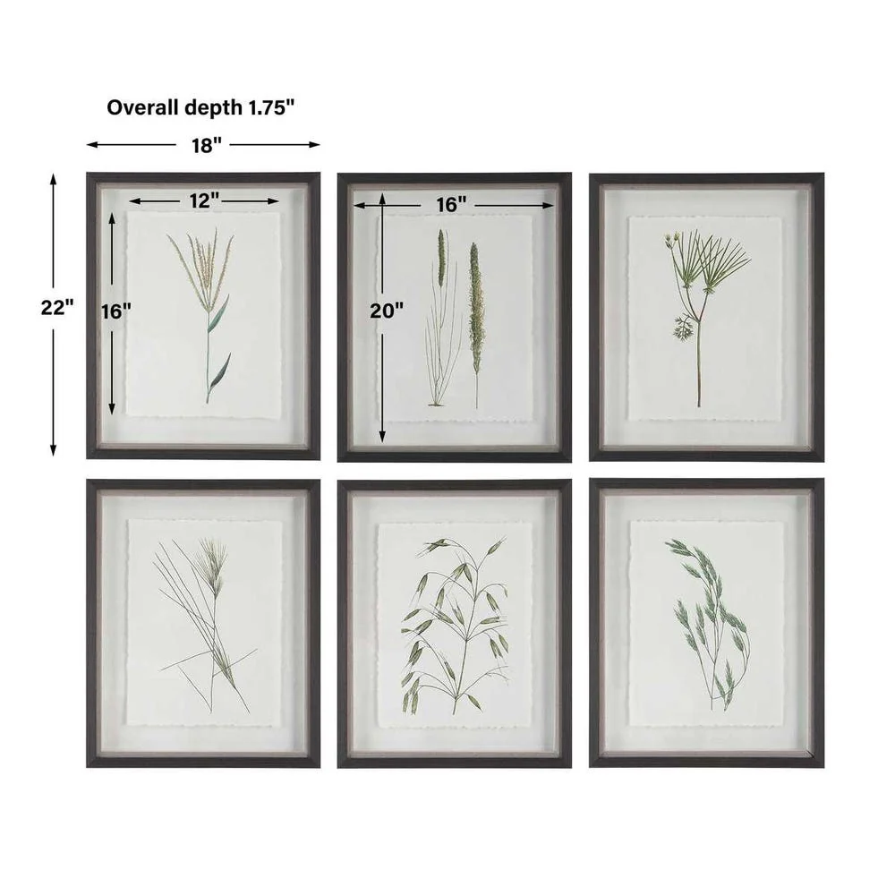 Forest Finds Framed Prints, S/6 - Image 9