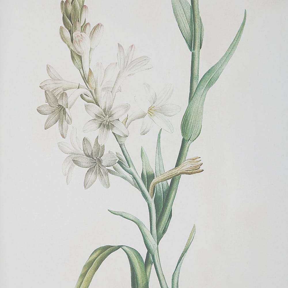 Heirloom Blooms Study Framed Prints, S/4 - Image 5