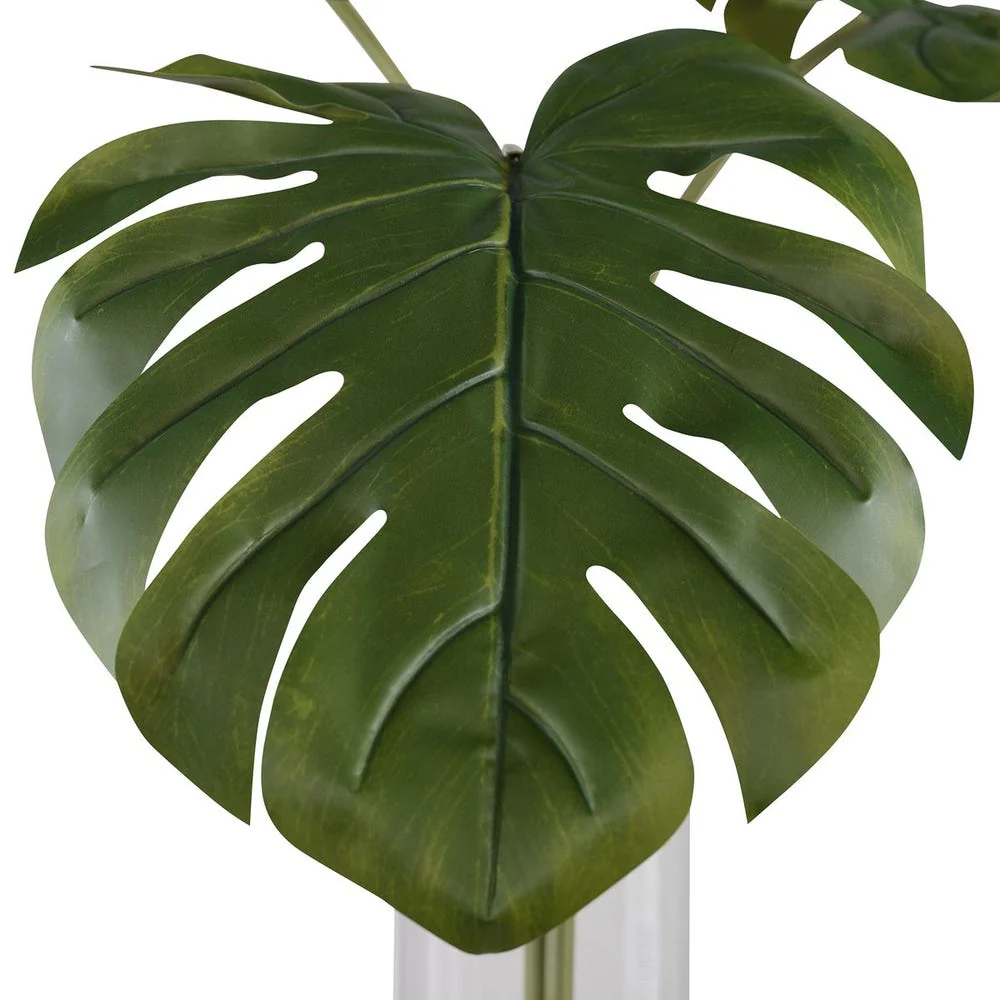 Ibero Split Leaf Palm - Image 4