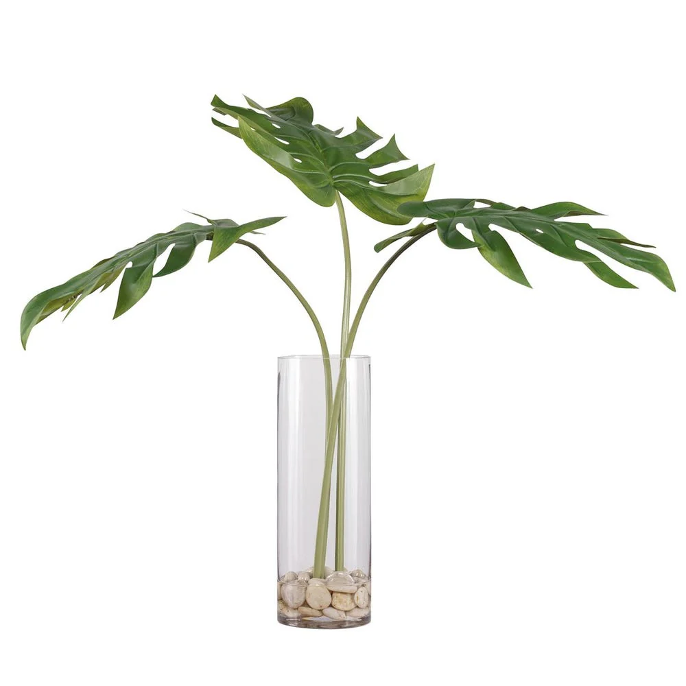 Ibero Split Leaf Palm - Image 5