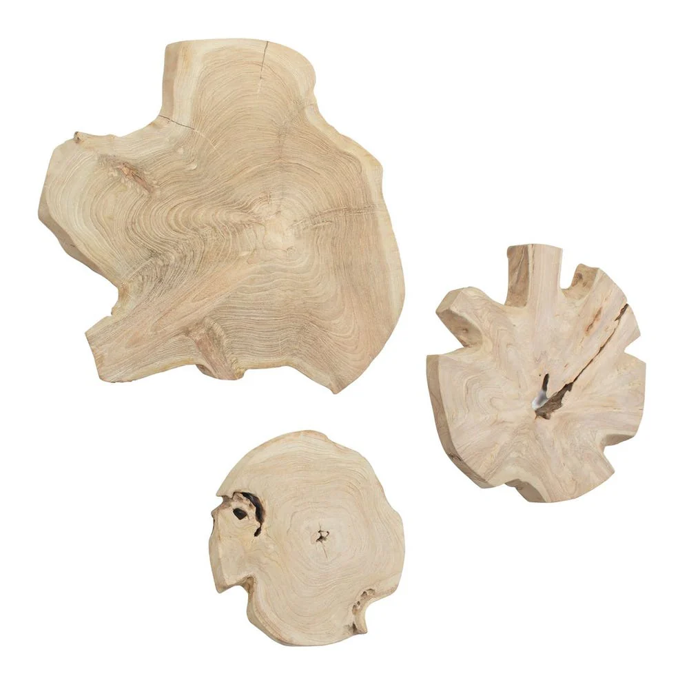 Kalani Outdoor Wood Wall Decor, S/3 - Image 2