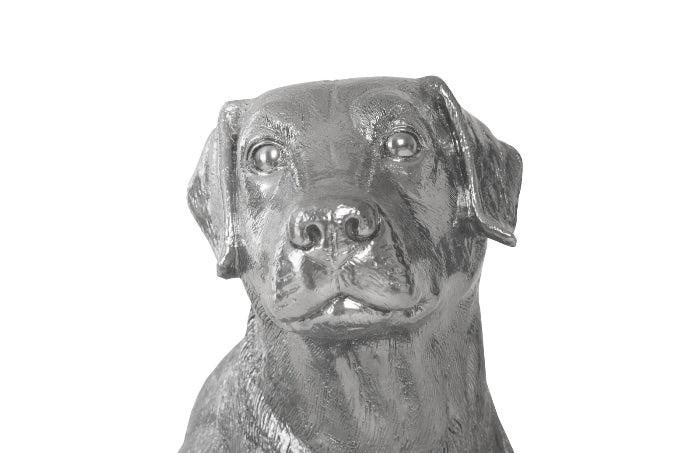 Labrador, Liquid Silver - Image 4