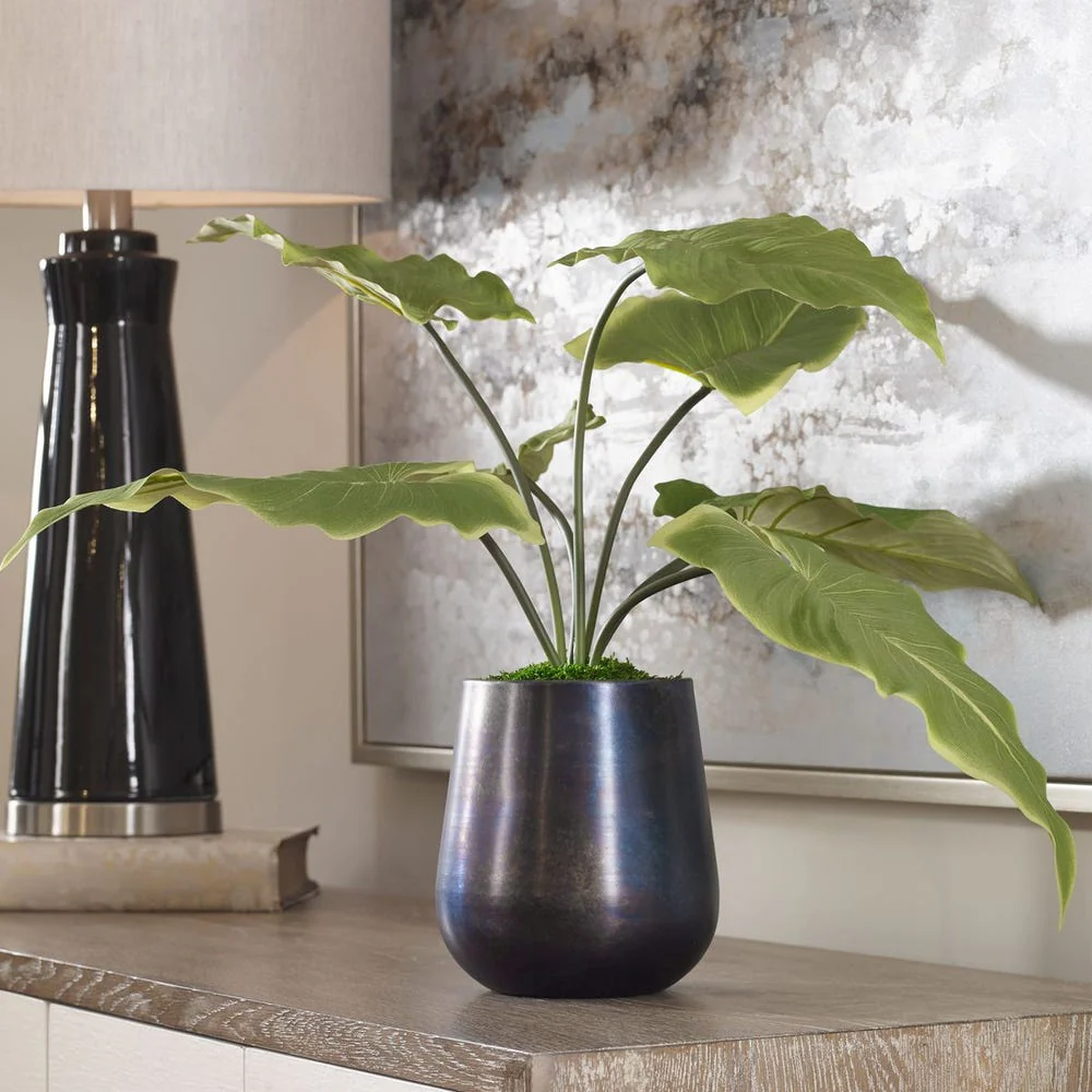 Mari Calla Accent - Image 3