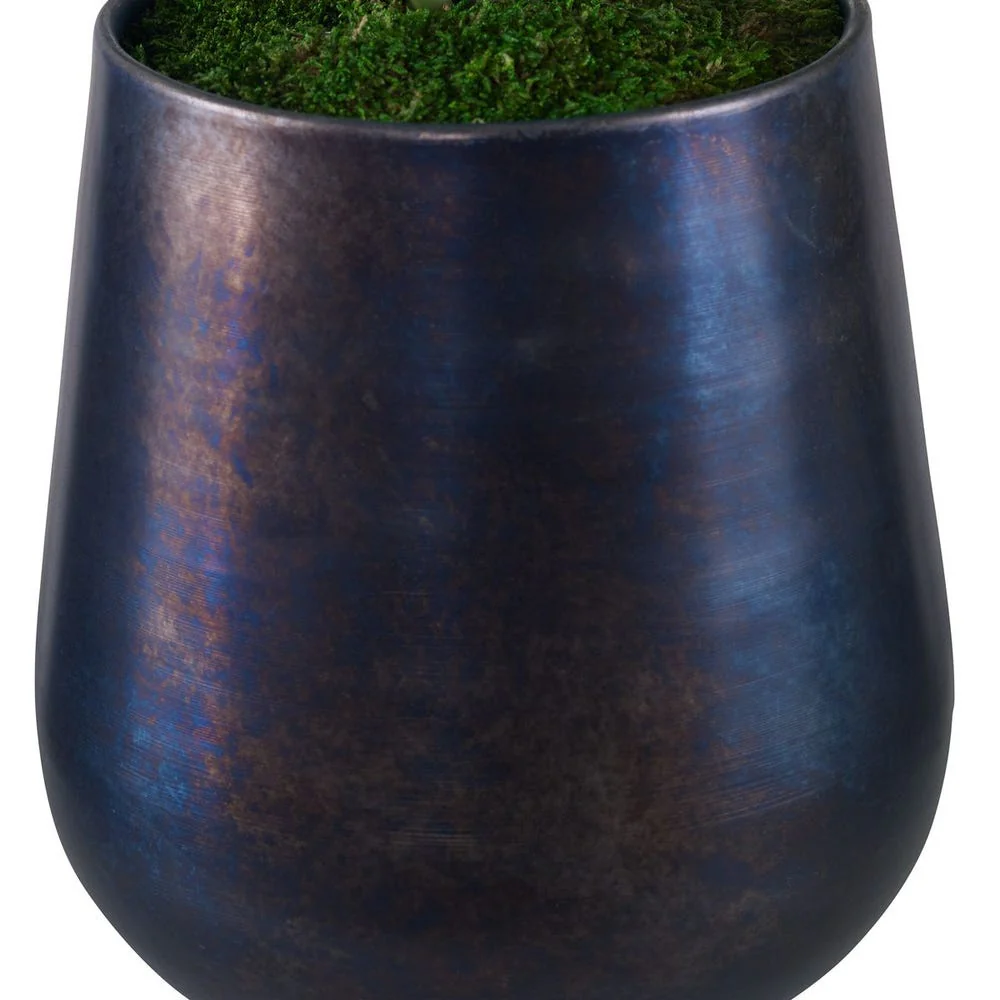 Mari Calla Accent - Image 4