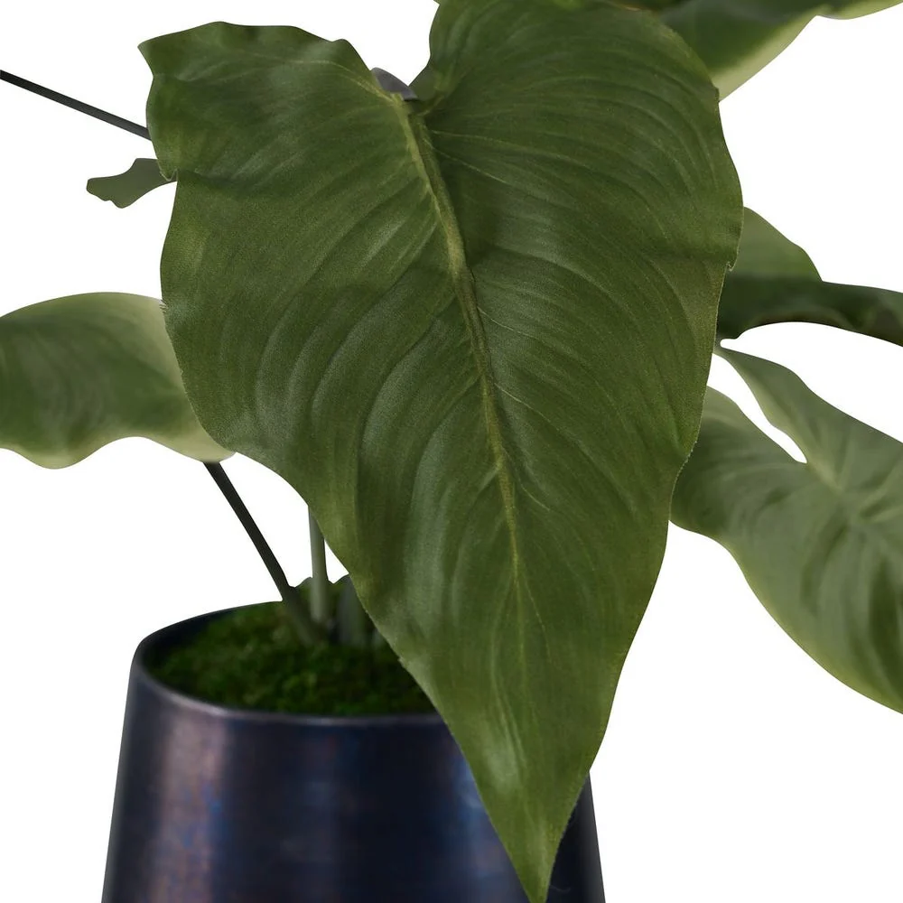 Mari Calla Accent - Image 5