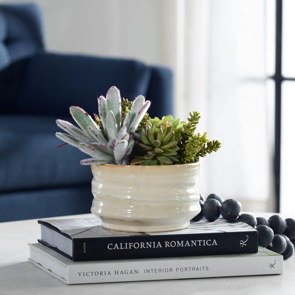 Mesa Succulent Accent - Image 3