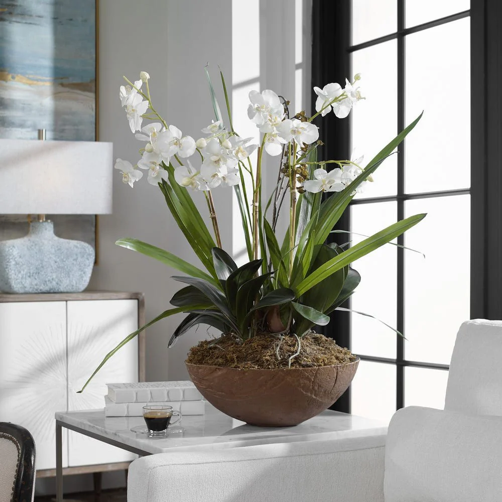 Moth Orchid Planter - Image 4