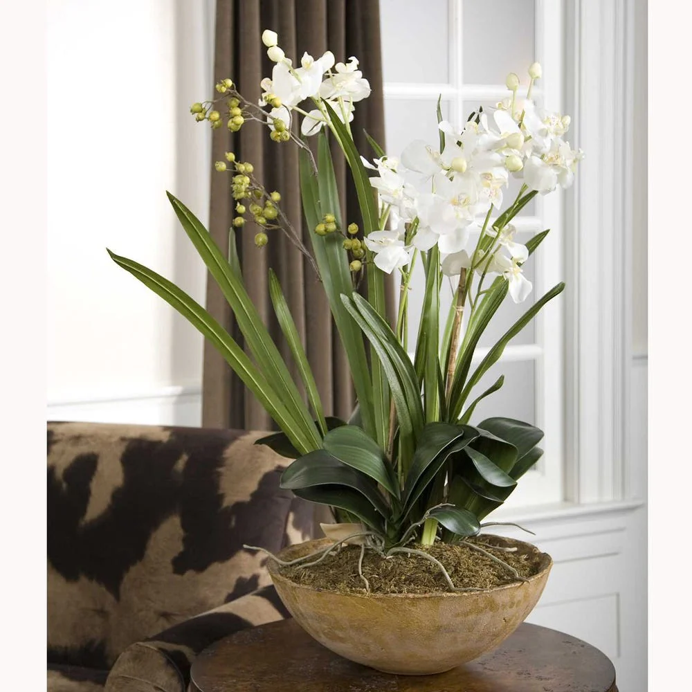 Moth Orchid Planter - Image 5