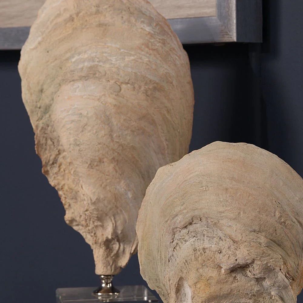 Oyster Shell Sculptures, S/2 - Image 4