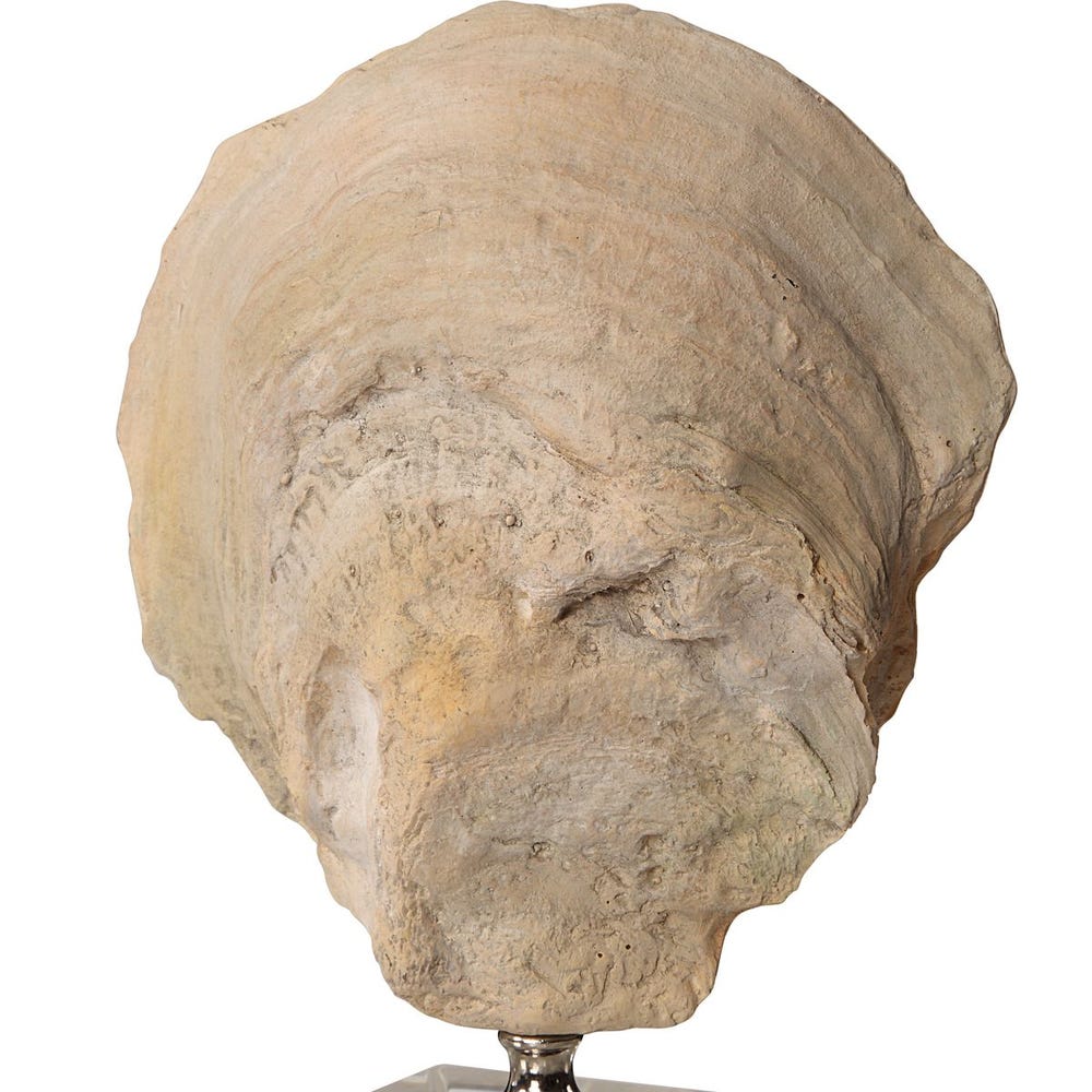 Oyster Shell Sculptures, S/2 - Image 5