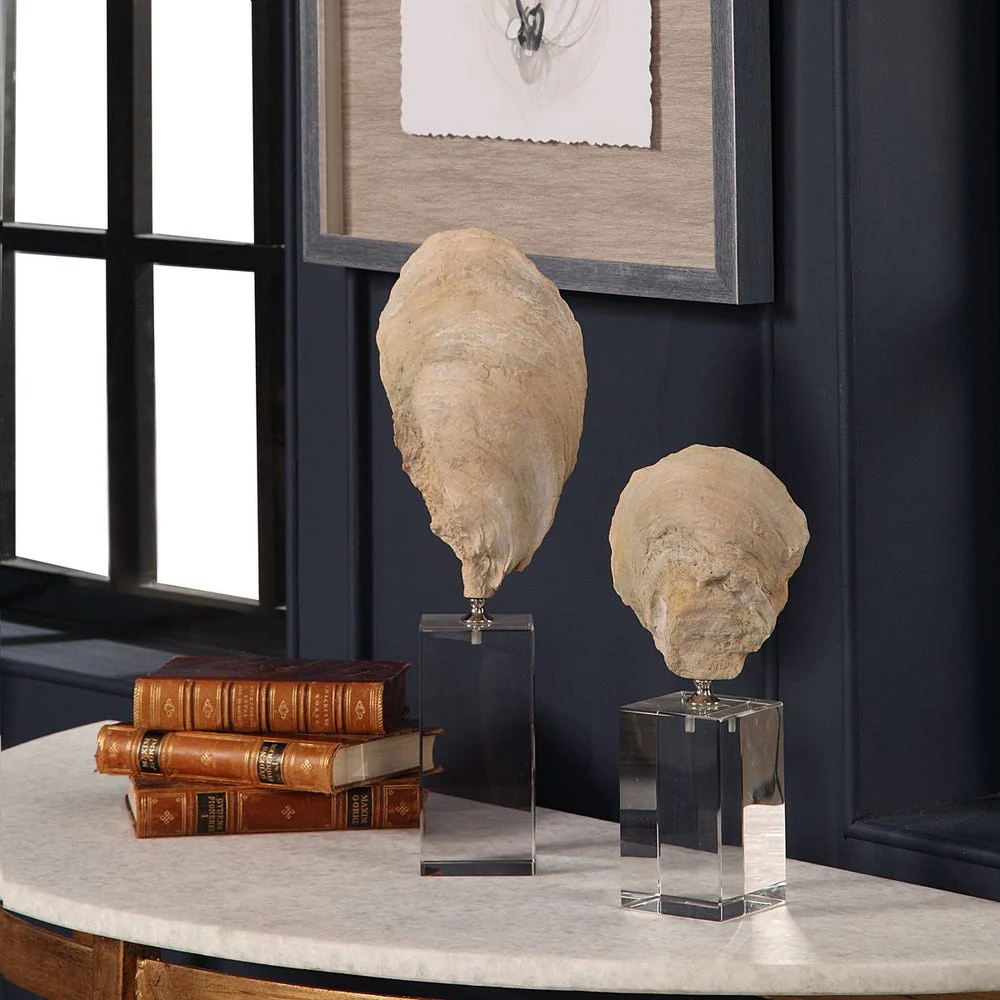 Oyster Shell Sculptures, S/2 - Image 7