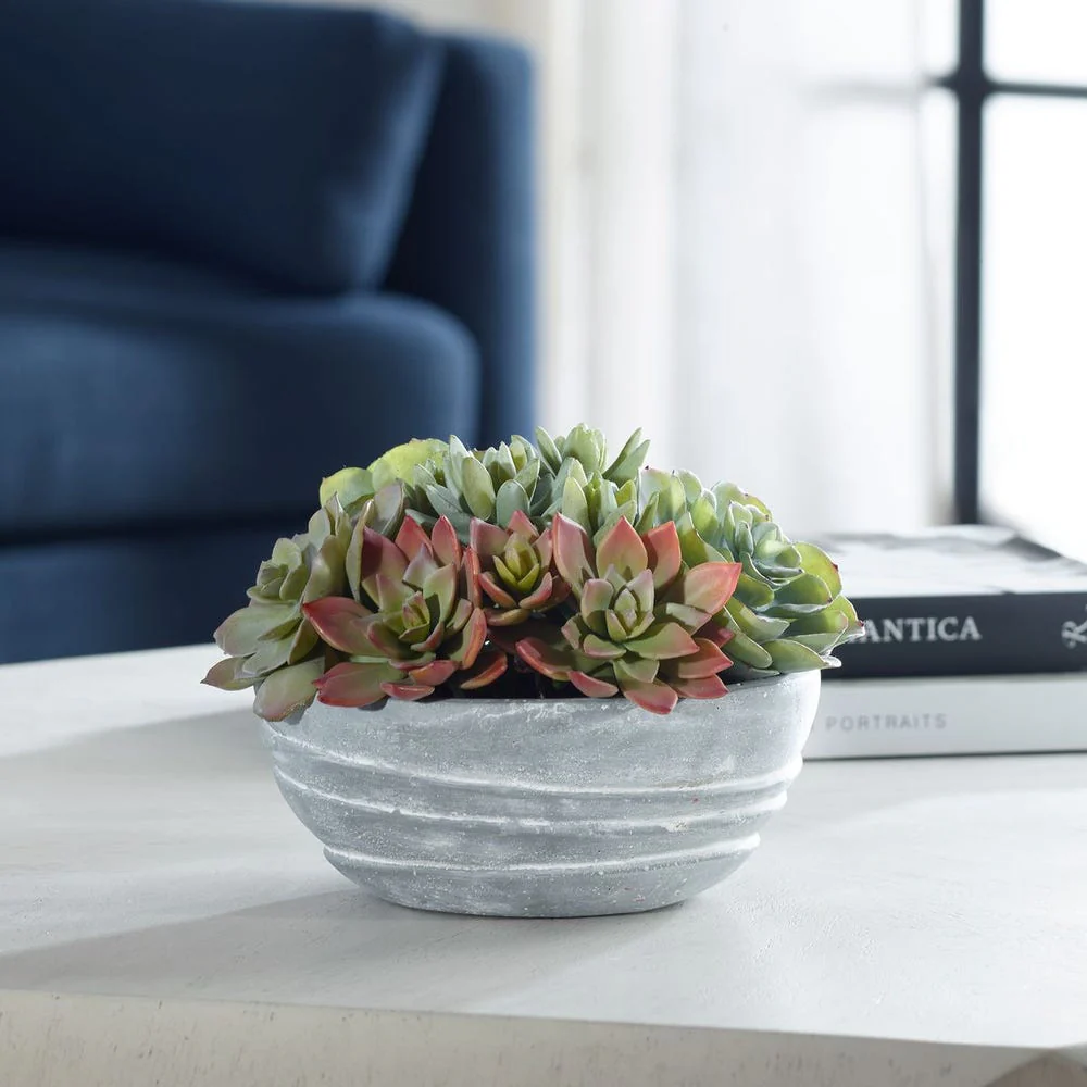Peoria Succulent Accent - Image 2