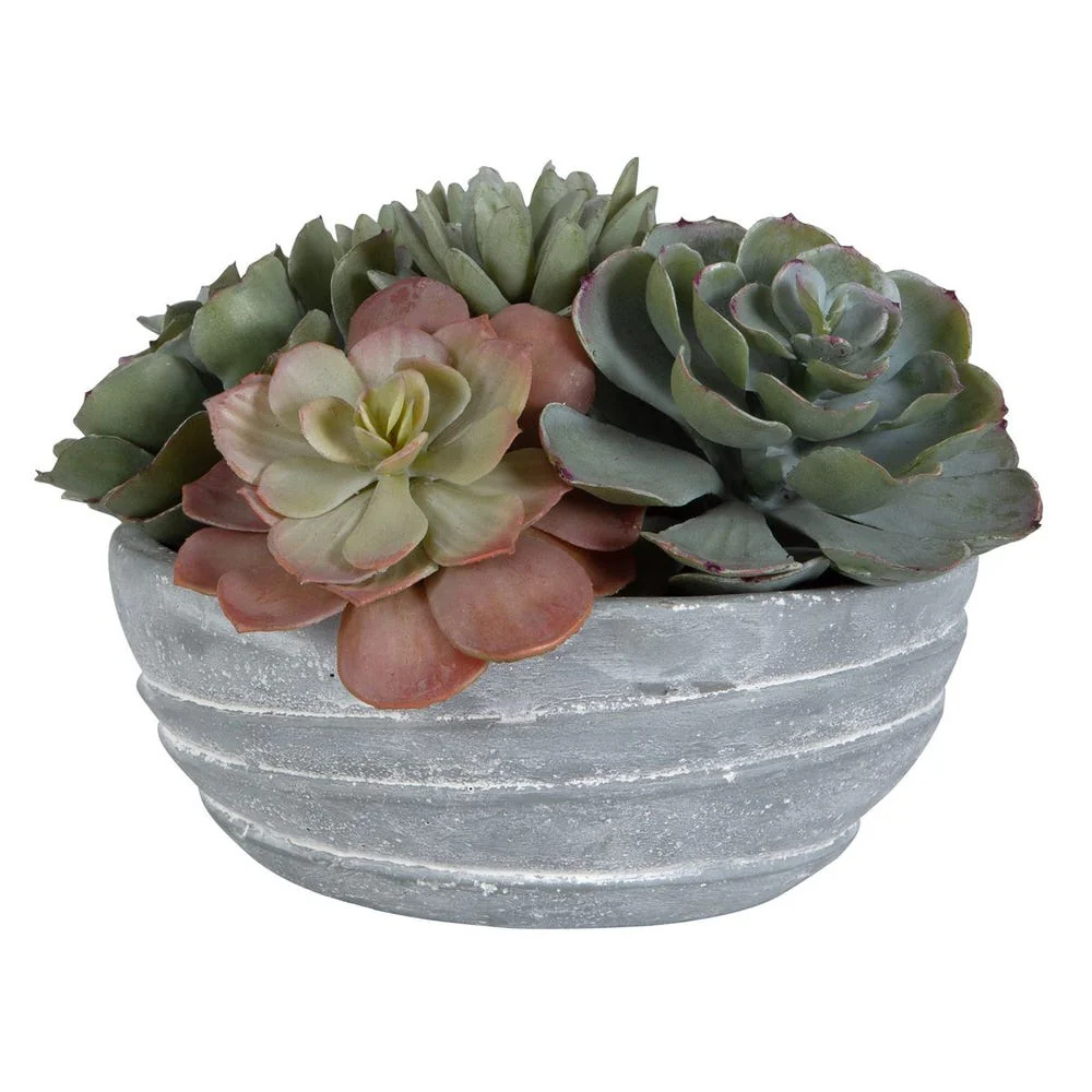 Peoria Succulent Accent - Image 3