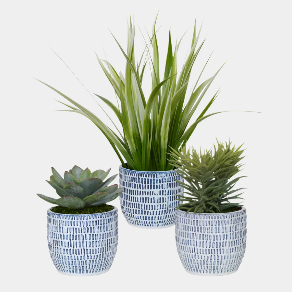 Puebla Greenery, S/3