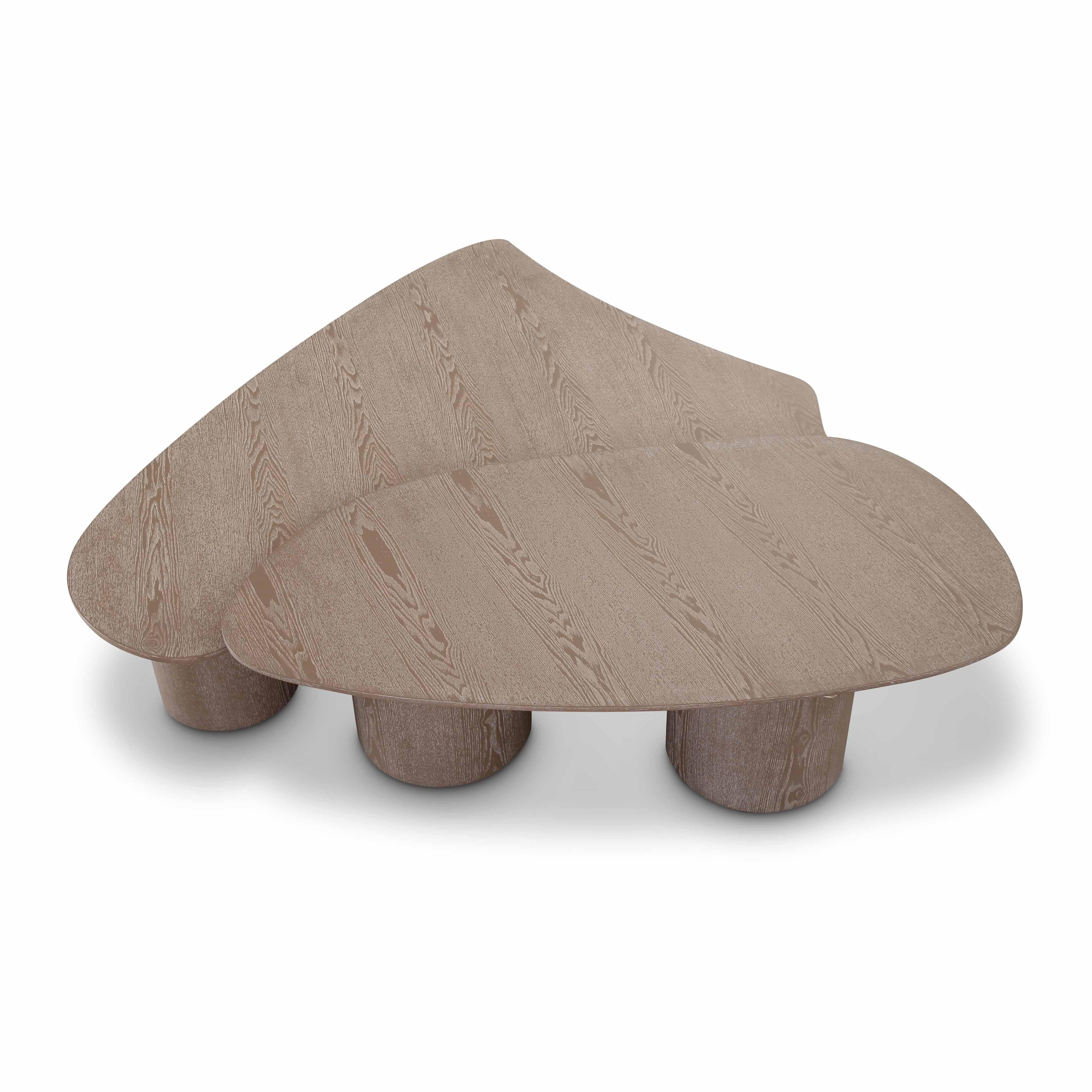 Rhema 2-Piece Washed Ash Nesting Coffee Table Set - Image 4