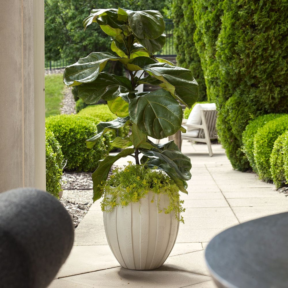 Ridgehaven Outdoor Planter - Image 2