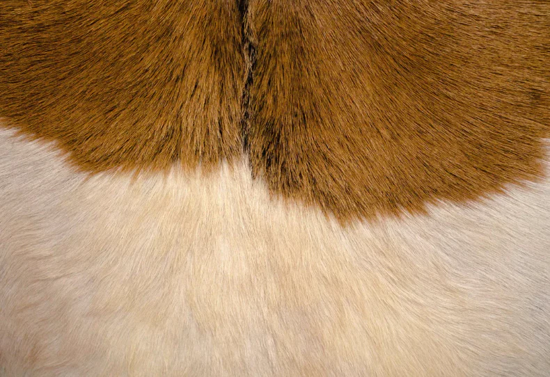 Rio Cool Armchair - Cool Brown, Leather/Goat Hair - Image 7