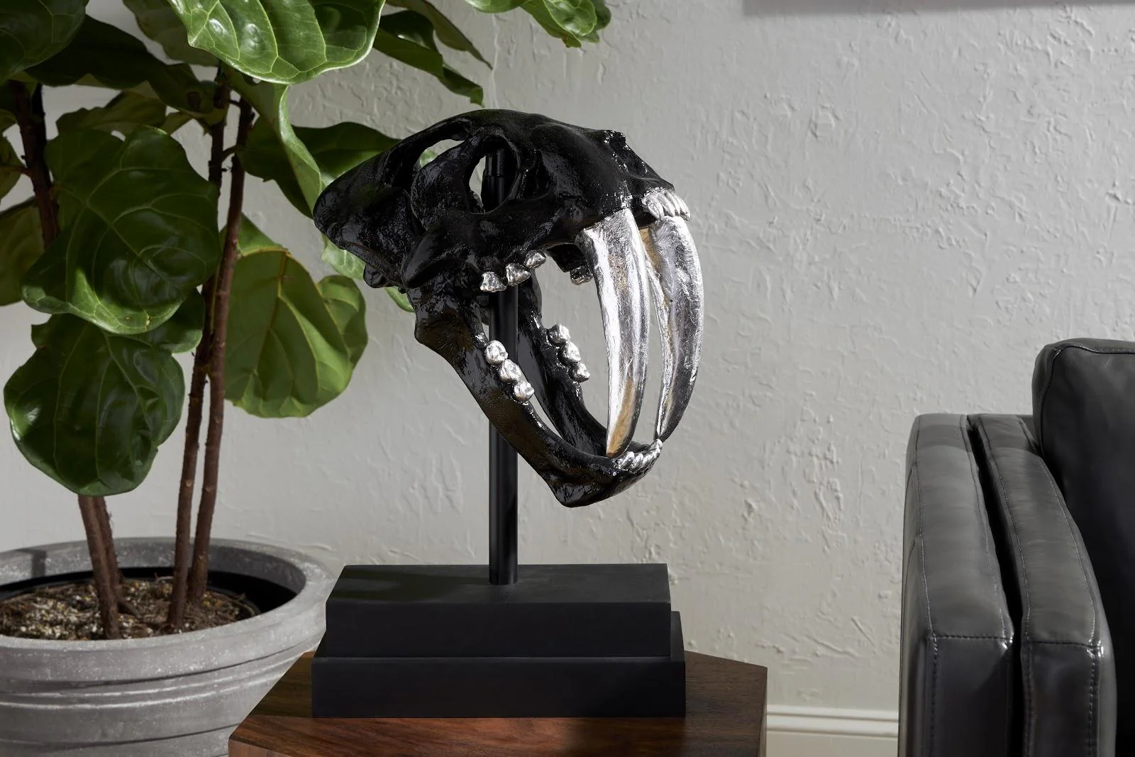 Saber Tooth Tiger Skull, Black - Image 5