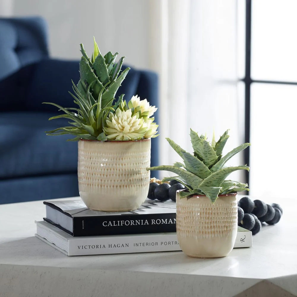 Seaside Succulents, S/2 - Image 2