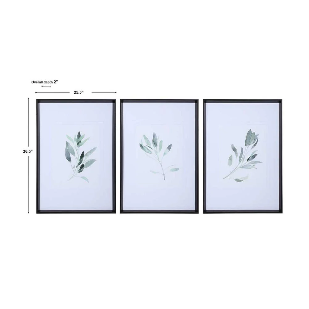 Simple Sage Framed Prints, S/3 - Image 7