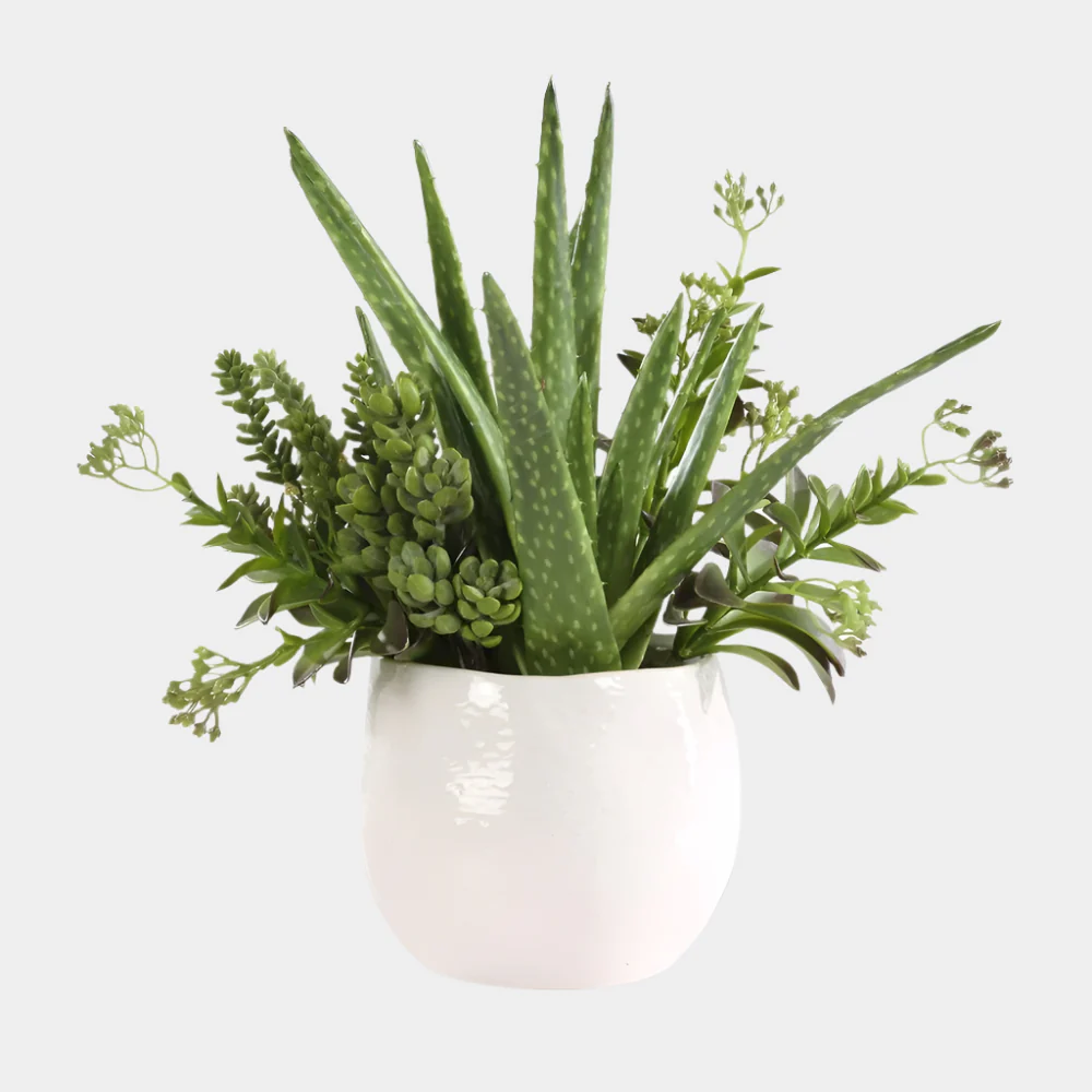 Sundown Succulent Accent