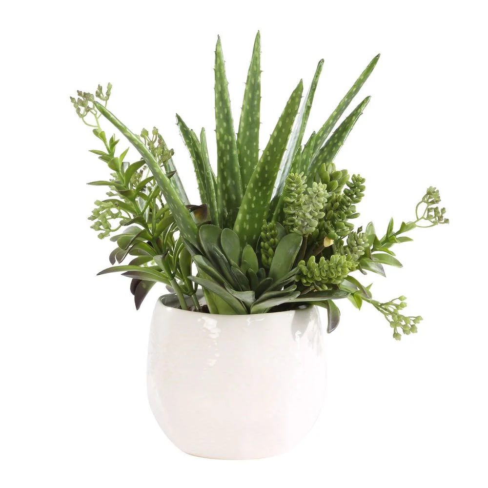 Sundown Succulent Accent - Image 3