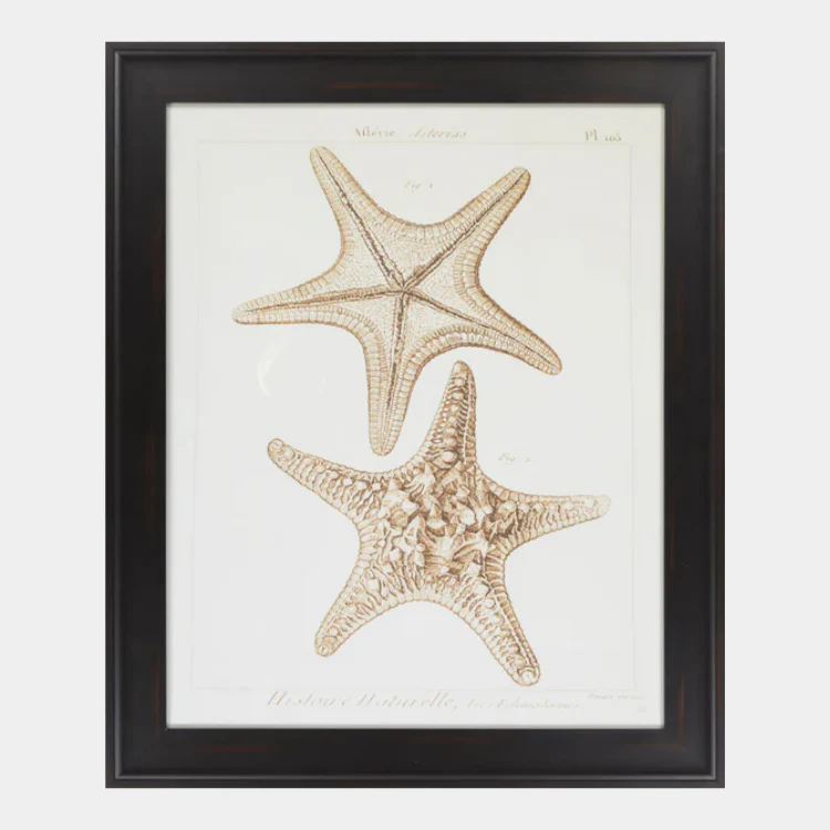 Surya Wall Decor Framed Art