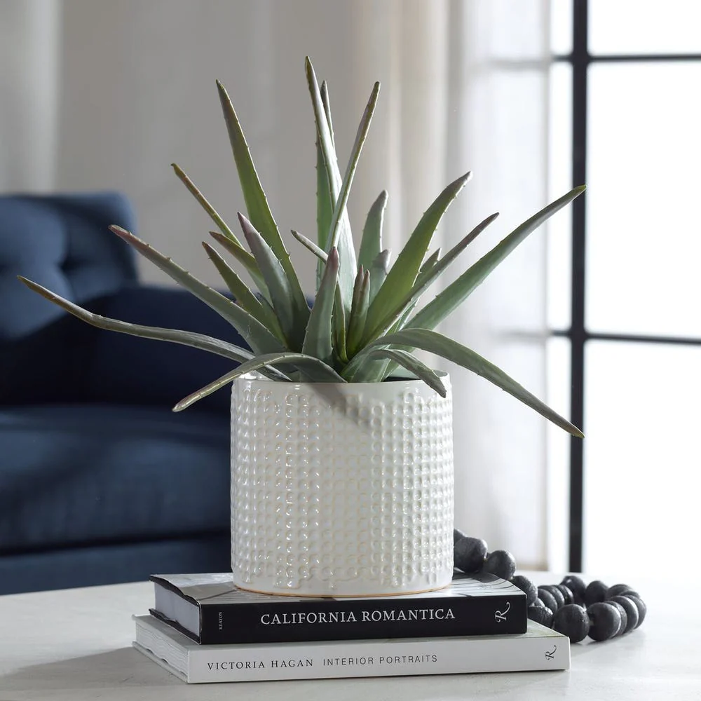 Taos Aloe Centerpiece - Image 2