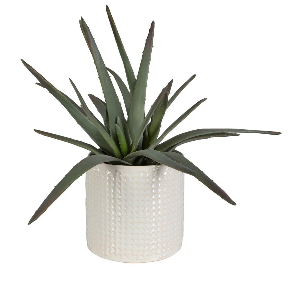Taos Aloe Centerpiece - Image 4
